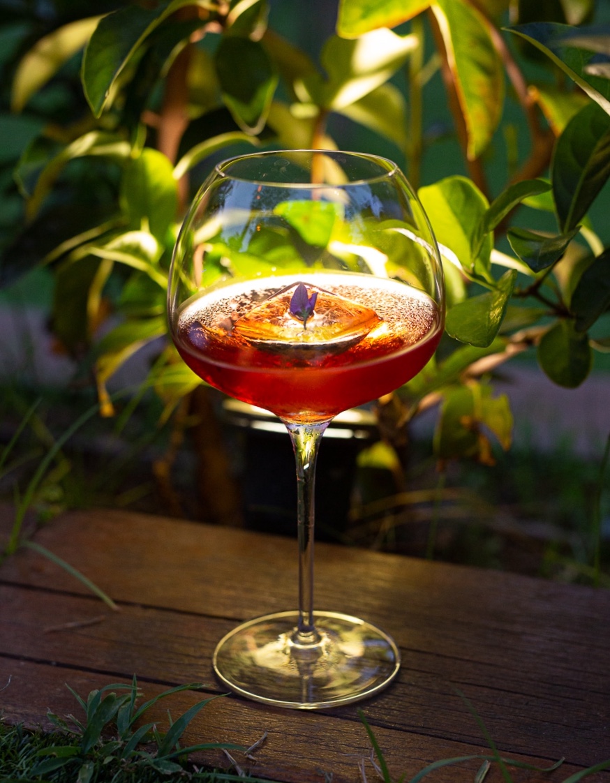 Red stemmed cocktail with a violet petal photographed among garden leaves
