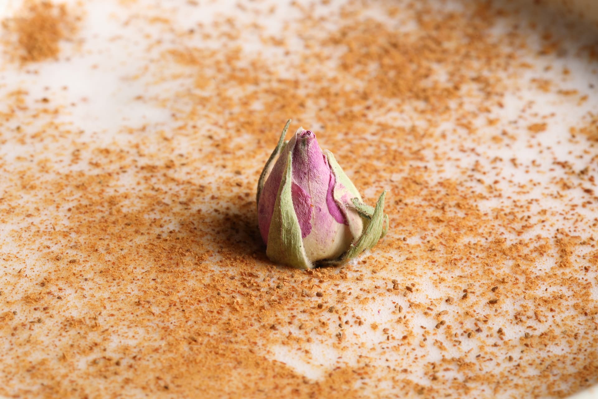 Macro detail of a dried rosebud on spiced cocktail foam