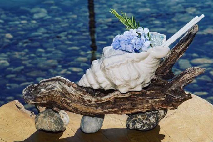 Conch shell cocktail with hydrangea and rosemary on driftwood by the water