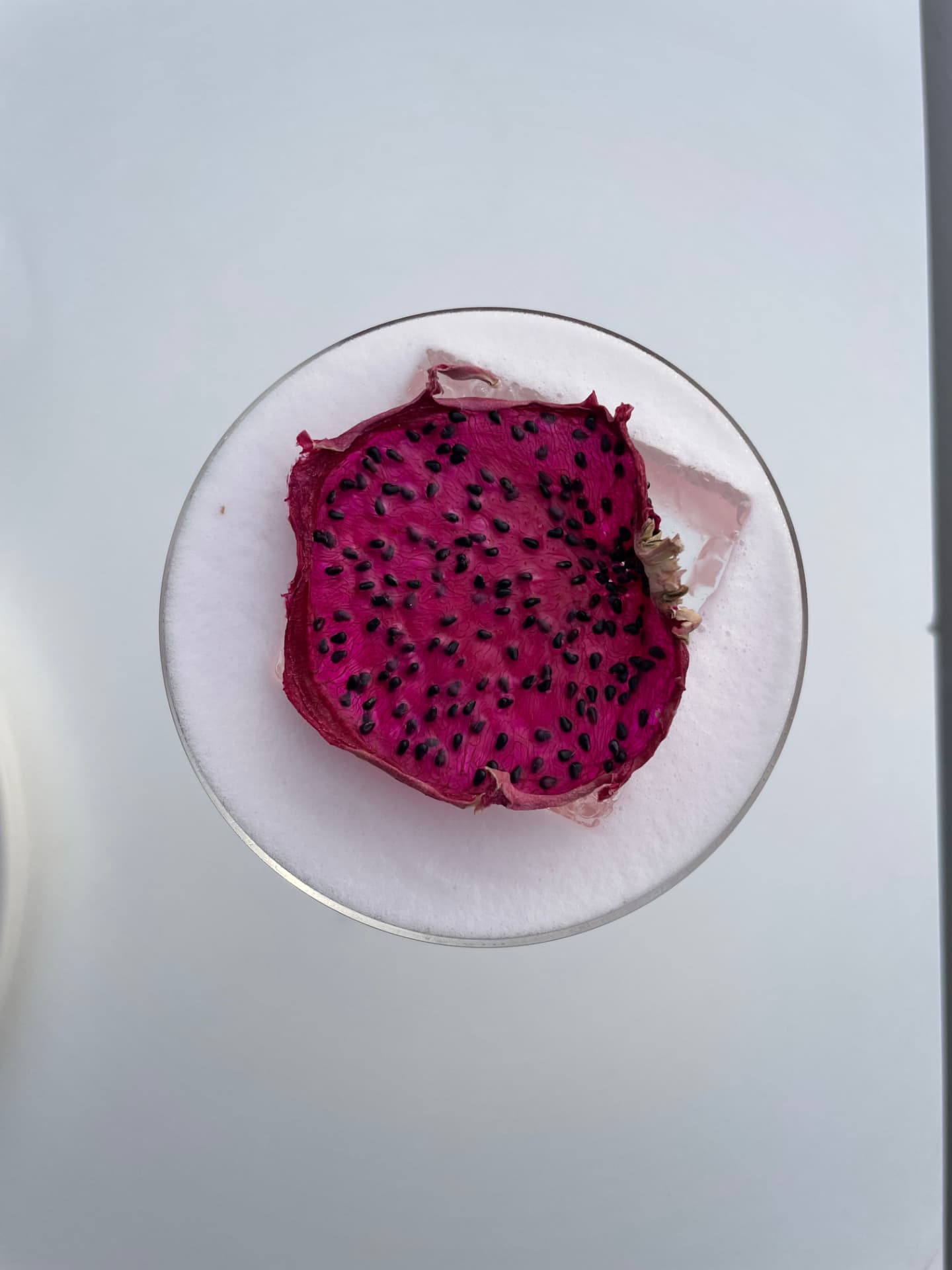 Top-down detail of dragon fruit on cocktail foam